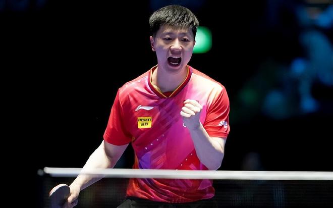 在此展示实 在此展示实