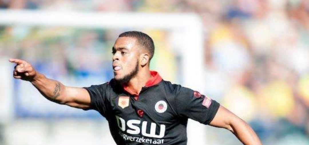 利益的坚定 利益的坚定